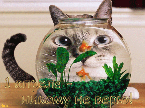 Скачать бесплатно прикольные открытки на 1 апреля с анимациями.