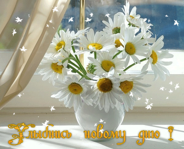 Открытки с улыбкой скачать. Анимацинные Открытки улыбнись скачать бесплатно.