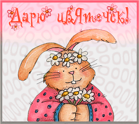 Скачать бесплатно открытки с зайчиками. Открытки с зайчиками gif.