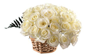 Открытки с белыми розами скачать бесплатно. Открытки с белыми розами онлайн.