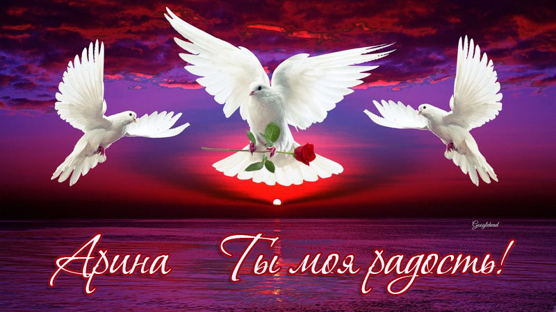 Открытки с именем Арина скачать бесплатно. С днём рождения Арина открытки.