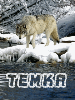 Открытки с именем Артём скачать бесплатно. Анимационные открытки с именем Артём.