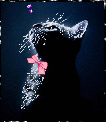 Открытки с кошками скачать бесплатно. Анимационные открытки с кошками.