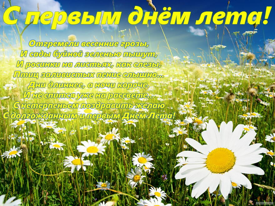 Открытки с первым днём лета скачать. Открытки с первым днём лета бесплатно.
