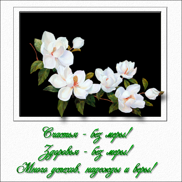Открытки с цветами жасмина скачать. Открытки с цветами жасмина анимационные.