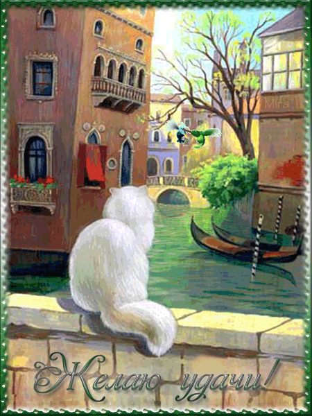Красивые анимационные открытки желаю удачи скачать бесплатно.