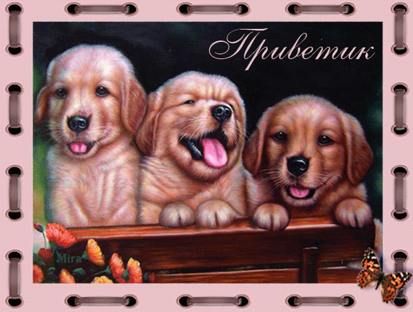Анимационные открытки с собаками. Скачать бесплатно открытки с собаками.