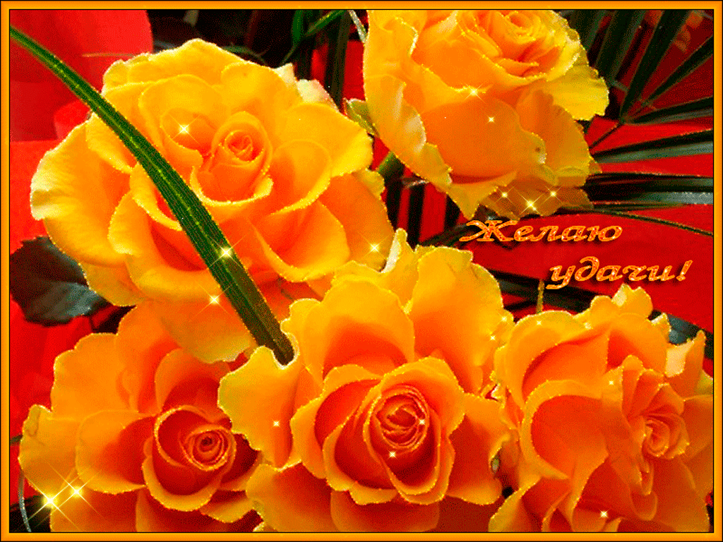 Красивые анимационные открытки желаю удачи скачать бесплатно.