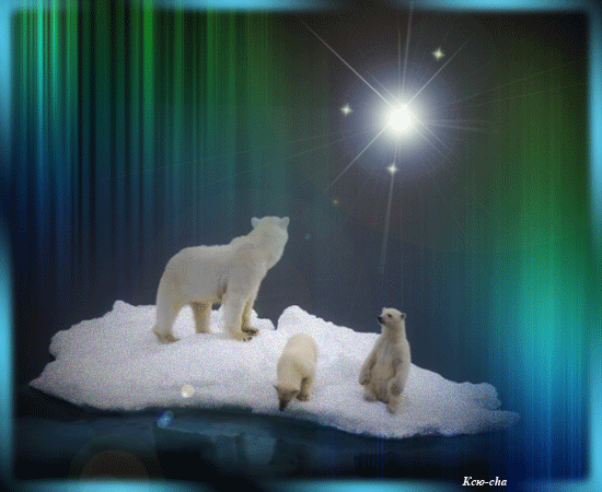 Анимационные открытки с мишками скачать бесплатно. Открытки с мишками gif.