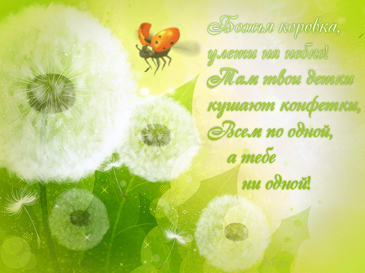 Открытки с божьей коровкой скачать бесплатно. Открытки с божьей коровкой онлайн.