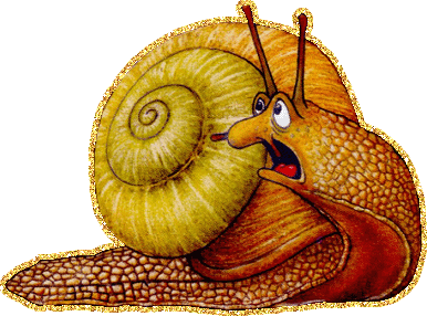 Открытки с улитками скачать бесплатно. Открытки с улитками онлайн.