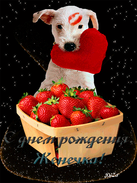 Открытки с именем Евгений gif. Открытки с днём рождения Женя.