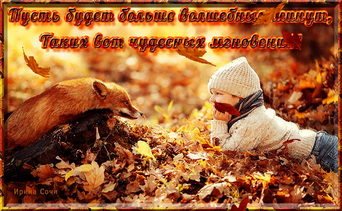 Открытки с лисичками скачать бесплатно. Открытки с лисичками gif.