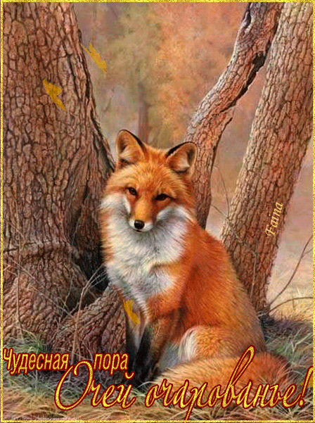 Открытки с лисичками скачать бесплатно. Открытки с лисичками gif.