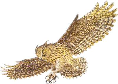 Открытки с совами скачать. Открытки с совами бесплатно онлайн.