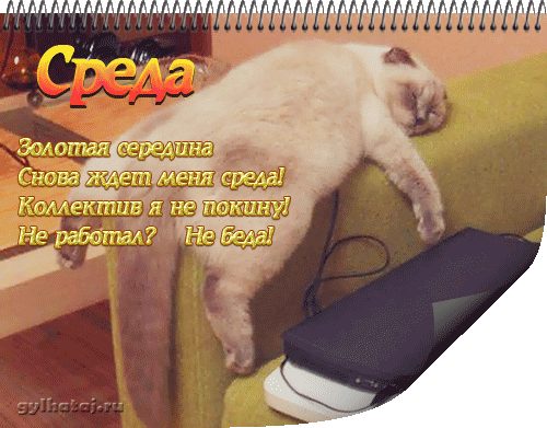 Открытки на среду скачать. Открытки на среду с пожеланиями бесплатно.