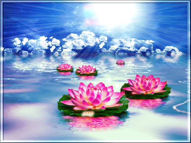 Открытки с водяными лилиями скачать бесплатно. Открытки с водяными лилиями он...