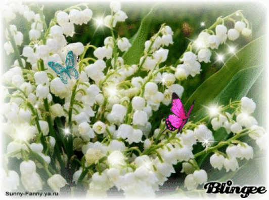 Открытки с ландышами скачать. Открытки с ландышами онлайн бесплатно.