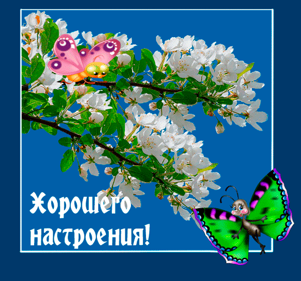 Самые лучшие Открытки хорошего настроения скачать бесплатно.