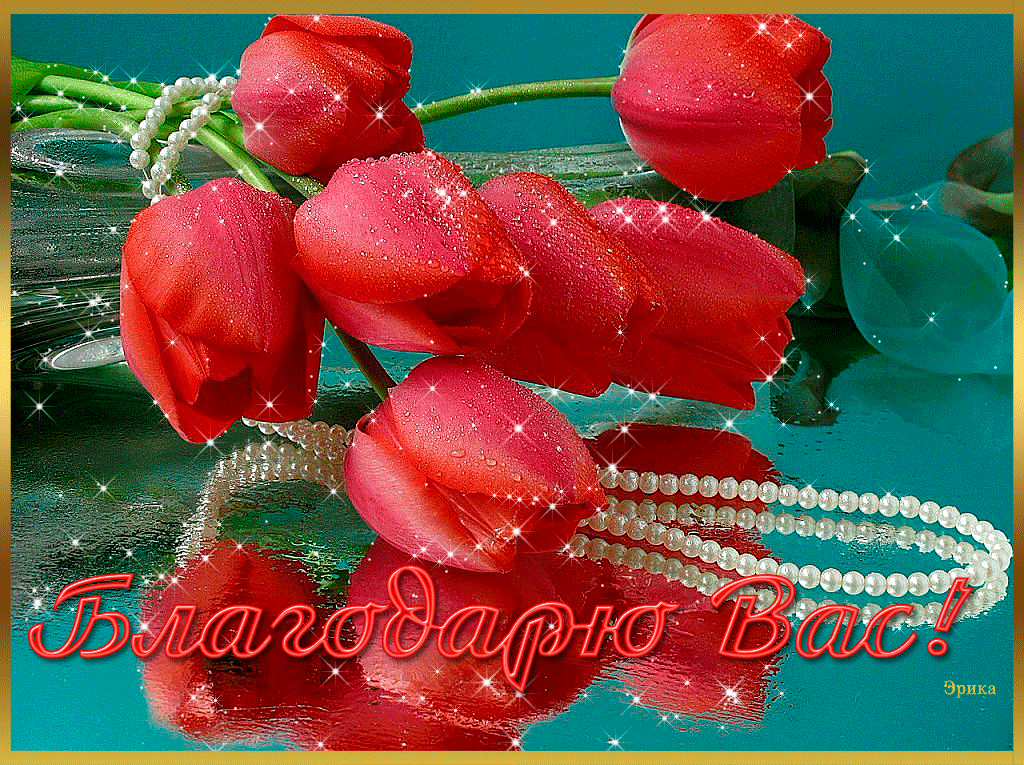 Открытки с красными тюльпанами скачать. Открытки с красными тюльпанами с аним...