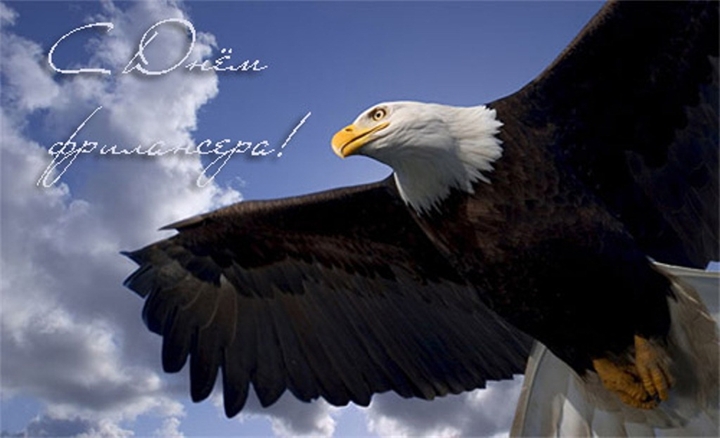 Открытки с днём фрилансера скачать бесплатно. Открытки с днём фрилансера 14 мая.