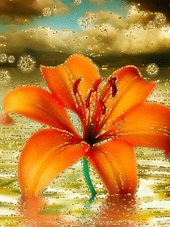 Открытки с оранжевыми лилиями скачать бесплатно. Открытки с оранжевыми лилиям...