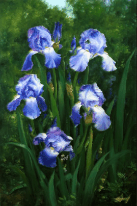 Открытки с ирисами скачать. Открытки с ирисами бесплатно онлайн.