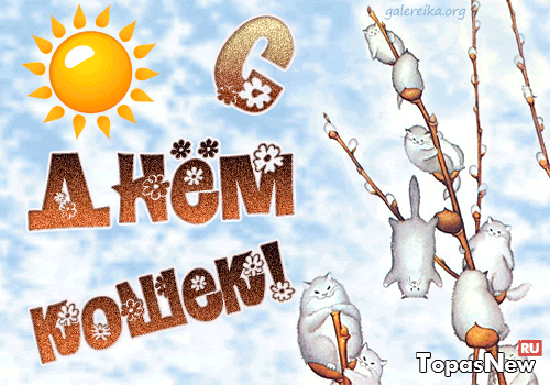 Открытки с Всемирным днём кошек с пожеланиями. Открытки с Всемирным днём коше...