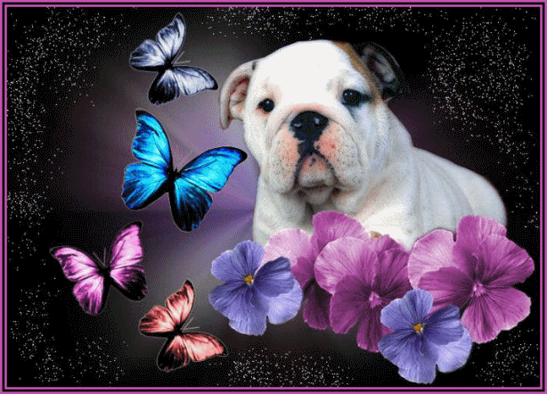 Анимационные открытки с собаками. Скачать бесплатно открытки с собаками.