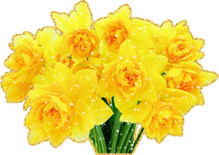 Открытки с желтыми нарциссами скачать бесплатно. Открытки с желтыми нарциссам...