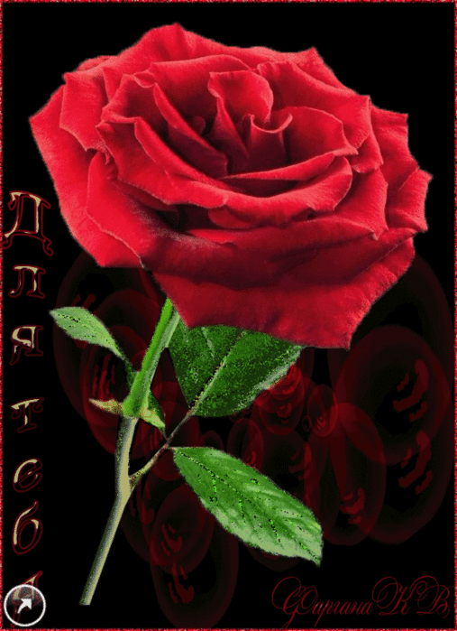 Открытки с розами скачать бесплатно Открытки с розами онлайн.