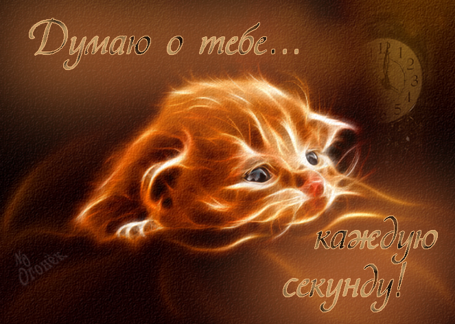 Скачать Открытки думаю о тебе бесплатно. Открытки думаю о тебе gif.