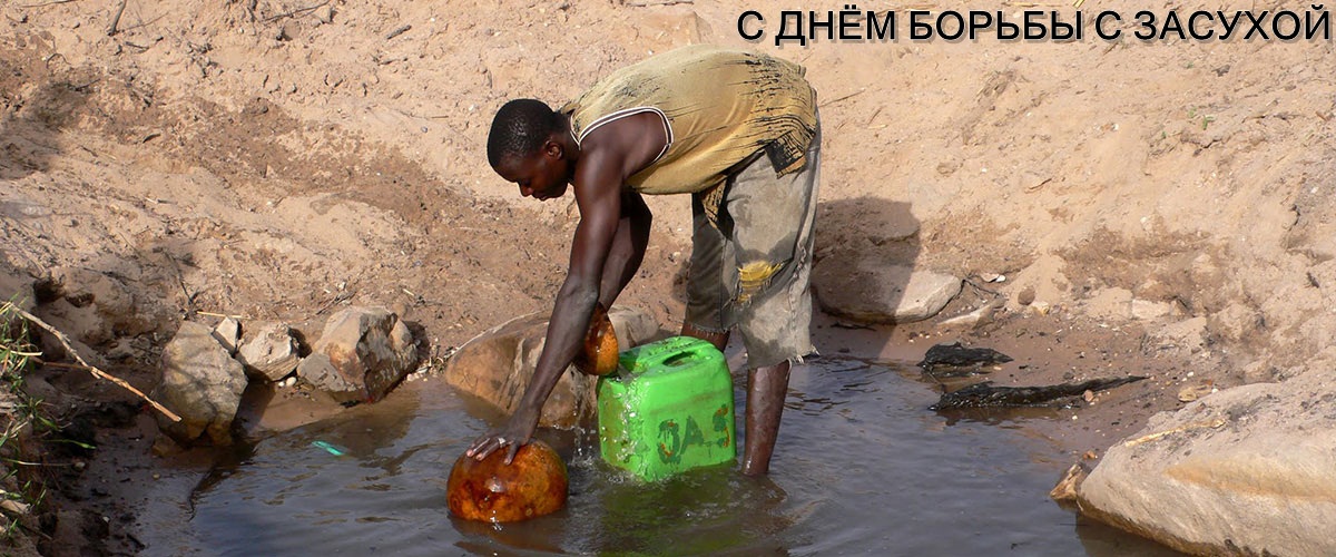 Открытки со Всемирным днём борьбы с засухой и опустыниванием.