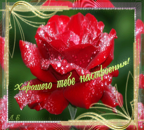 Самые лучшие Открытки хорошего настроения скачать бесплатно.