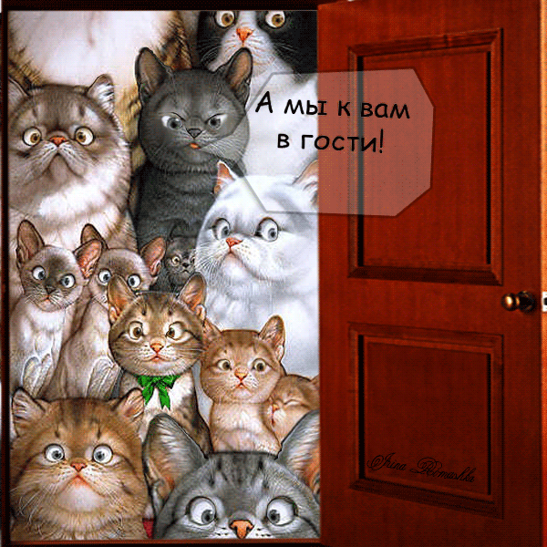 Открытки с кошками скачать бесплатно. Анимационные открытки с кошками.
