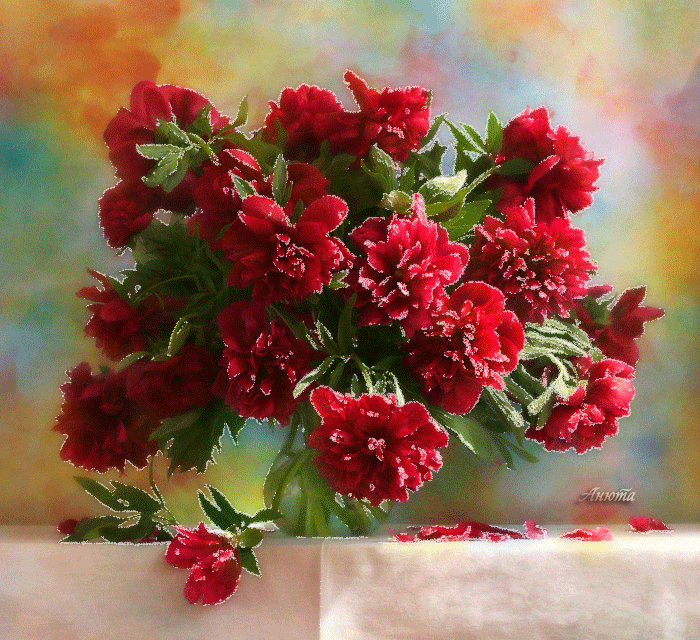 Открытки с красными пионами скачать. Открытки с красными пионами онлайн.