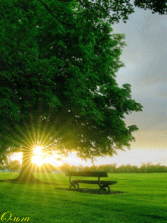 Открытки с рассветом скачать бесплатно. Открытки с рассветом онлайн.