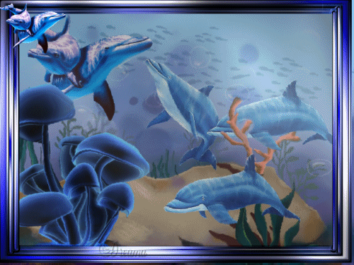 Открытки с дельфинами с анимациями. Открытки с дельфинами скачать.