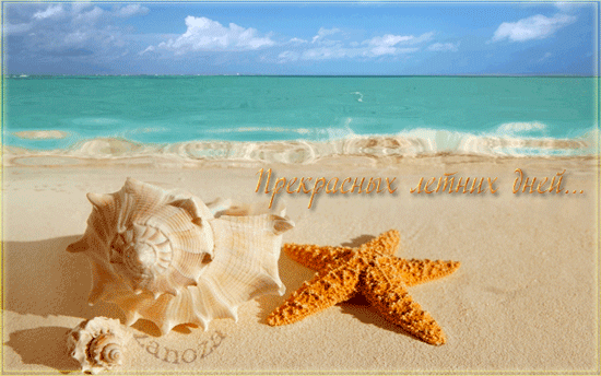 Открытки с морскими звездами анимационные. Открытки с морскими звездами gif.