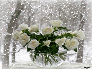 Открытки с белыми розами скачать бесплатно. Открытки с белыми розами онлайн.