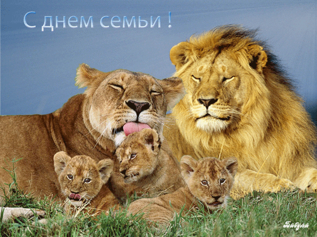 Скачать бесплатно открытки с Днём Семьи. Открытки с днём семьи.