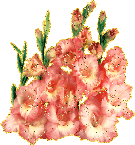 Открытки с гладиолусами скачать бесплатно. Открытки с гладиолусами анимационные.