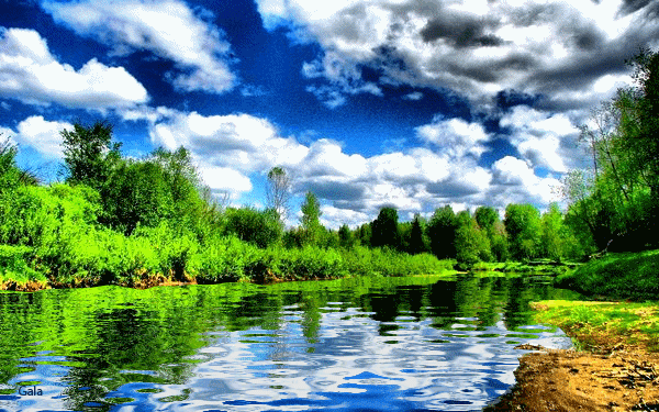 Открытки с летним лесом бесплатно онлайн. Красивые открытки с лесом.