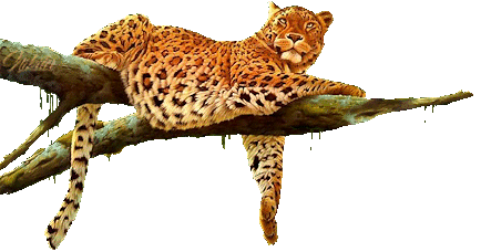 Открытки с леопардом скачать. Открытки с леопардом бесплатно.