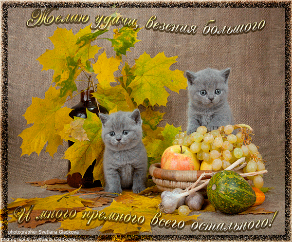 Красивые анимационные открытки желаю удачи скачать бесплатно.