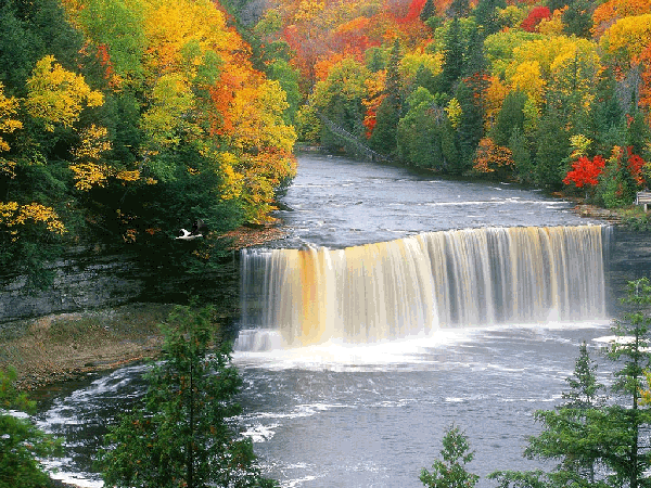 Открытки с водопадами скачать бесплатно. Открытки с водопадами gif.