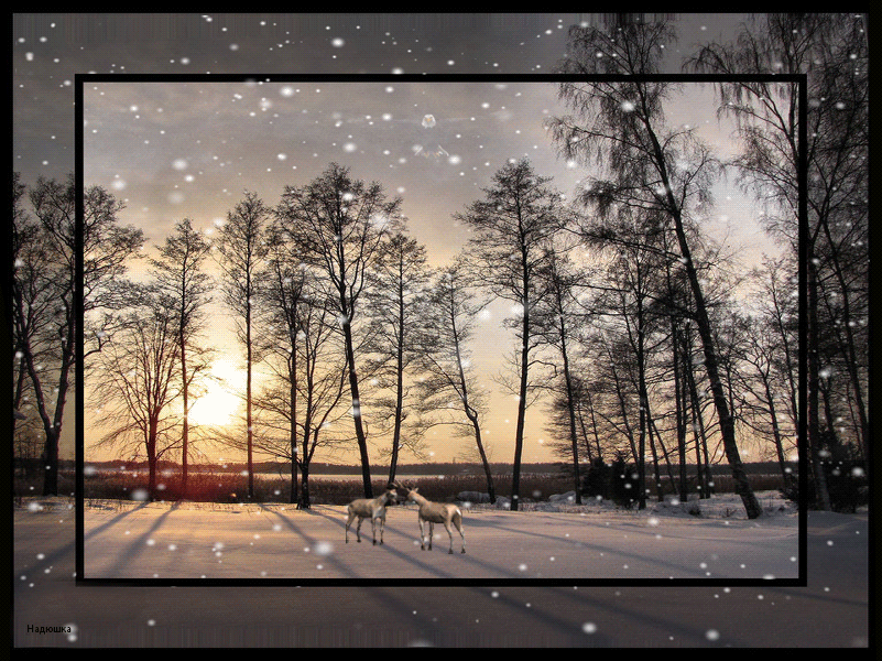 Открытки с зимним лесом скачать бесплатно. Открытки с зимним лесом gif.