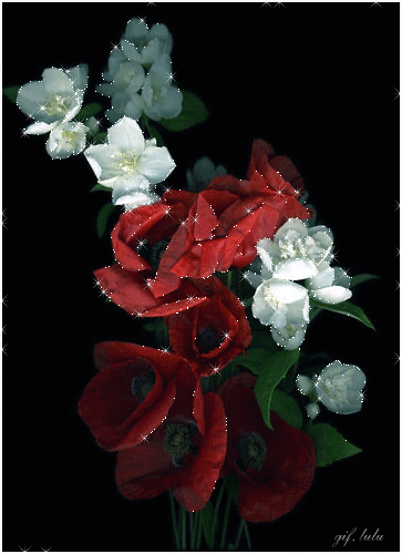 Открытки с цветами жасмина скачать. Открытки с цветами жасмина анимационные.