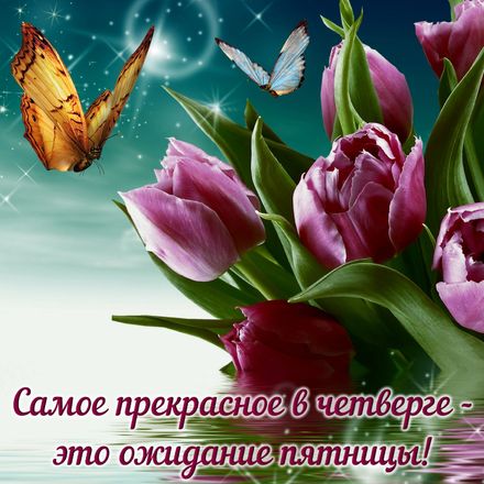 Привет четверг. Открытки с приколами и пожеланиями на четверг