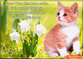 Открытки с днём подснежника gif. Открытки с днём подснежника скачать.